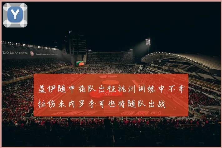 盖伊随申花队出征杭州训练中不幸拉伤米内罗李可也将随队出战