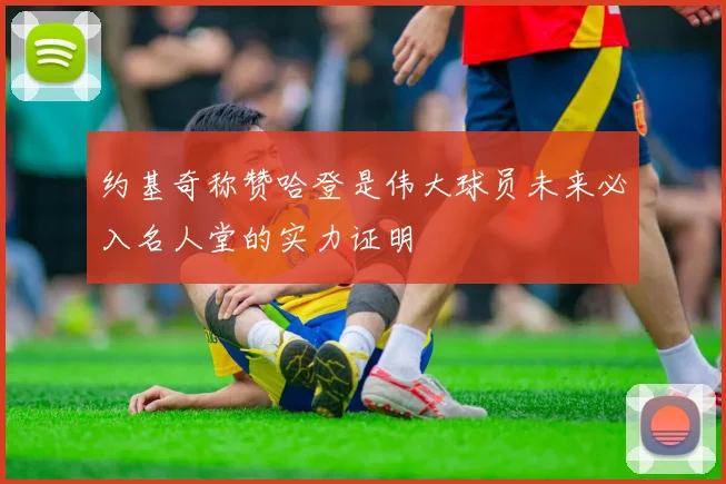 约基奇称赞哈登是伟大球员未来必入名人堂的实力证明